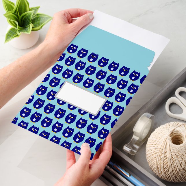 Blue Owl Design Envelope Mailers (Desk)