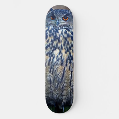 Blue Owl Skateboard Deck