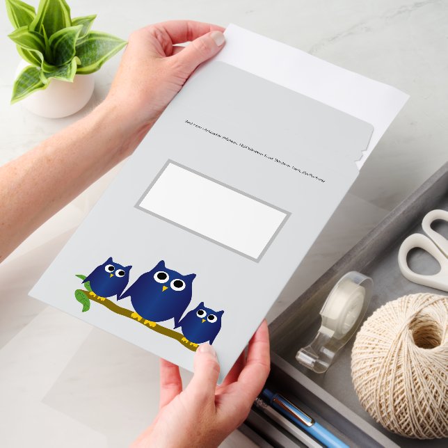 Blue Owls Design Envelope Mailers (Desk)