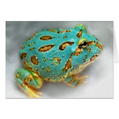 Blue Pac-Man Frog – Waiting, Waiting, Gotcha! (Front Horizontal)