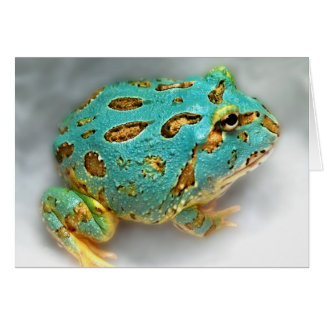 Blue Pac-Man Frog – Waiting, Waiting, Gotcha! Cards