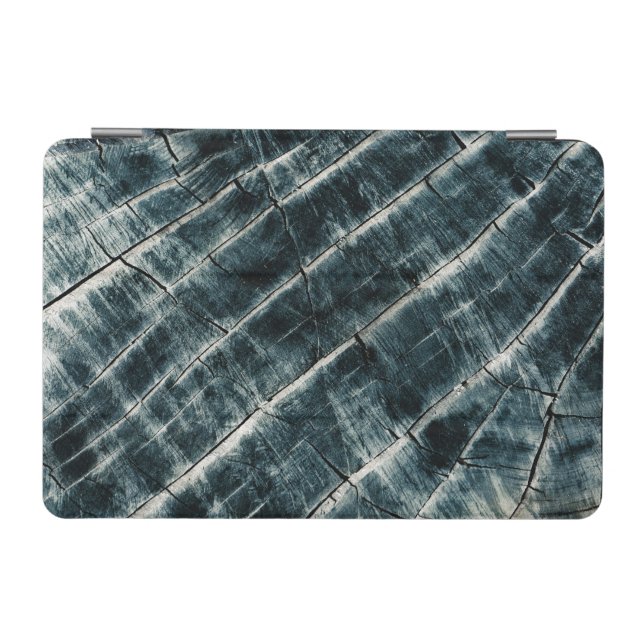 Blue Painted Wood iPad Mini Cover (Horizontal)
