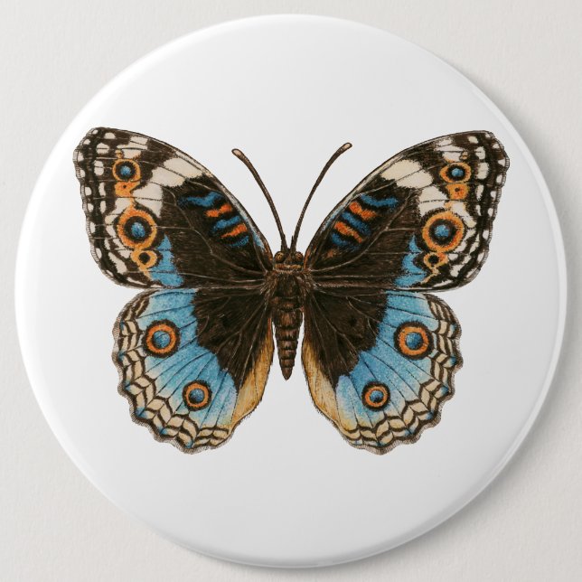 Blue Pansy Butterfly Button (Front)