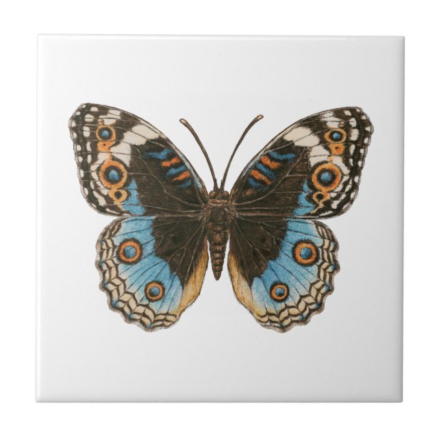 Blue Pansy Butterfly Ceramic Tile (Front)