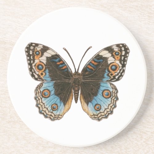 Blue Pansy Butterfly Coaster