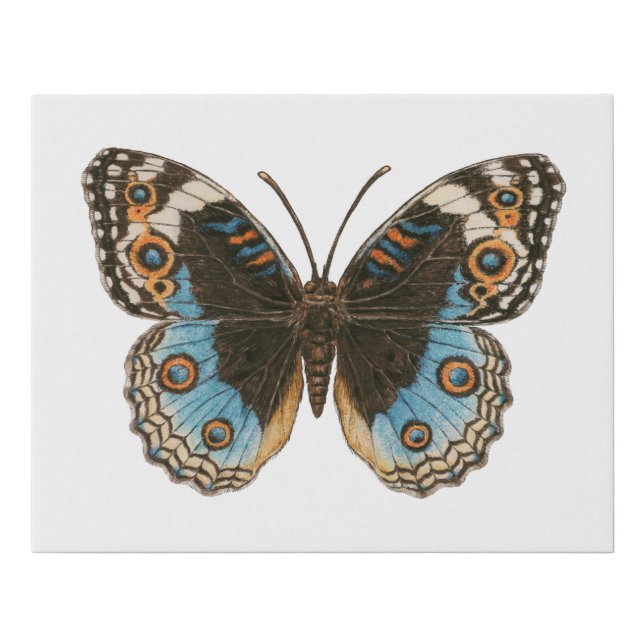Blue Pansy Butterfly Faux Canvas Print (Front)