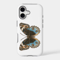 Blue Pansy Butterfly