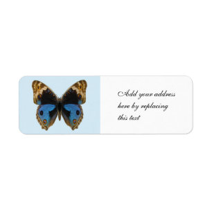 Blue Pansy Butterfly Label