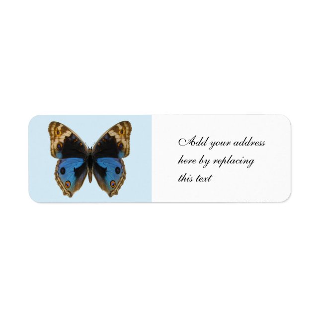 Blue Pansy Butterfly Label (Front)