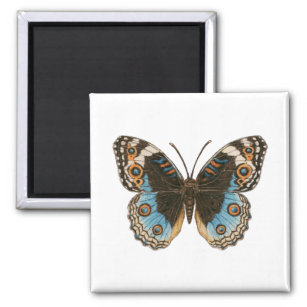 Blue Pansy Butterfly Magnet