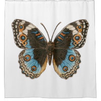 Blue Pansy Butterfly