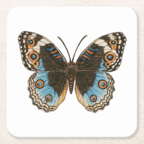 Blue Pansy Butterfly Square Paper Coaster