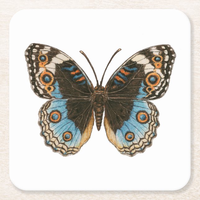 Blue Pansy Butterfly Square Paper Coaster (Front)