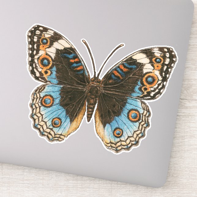 Blue Pansy Butterfly Sticker (Detail)