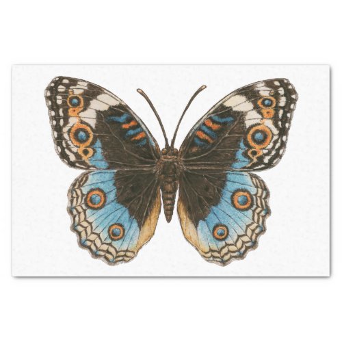 Blue Pansy Butterfly Tissue Paper