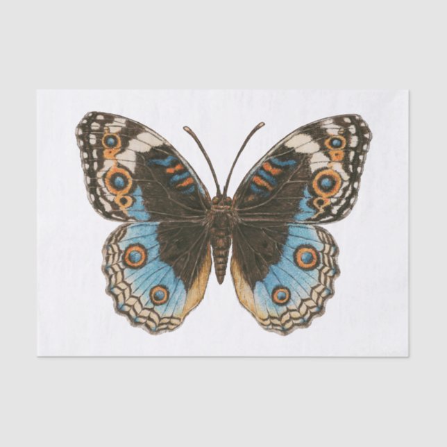 Blue Pansy Butterfly Tissue Paper (Front)