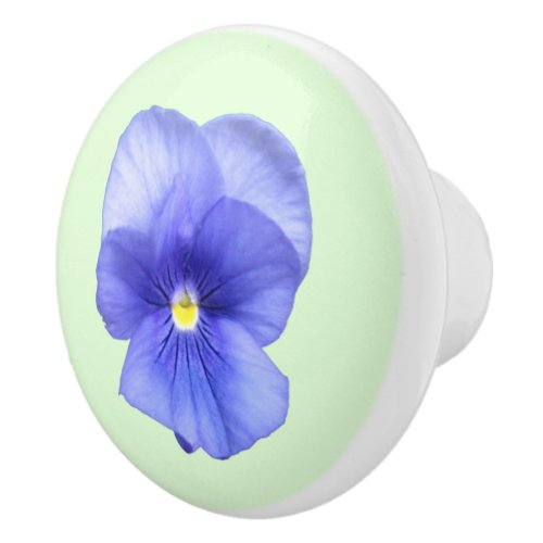 Blue Pansy on Mint _ Drawer Pull