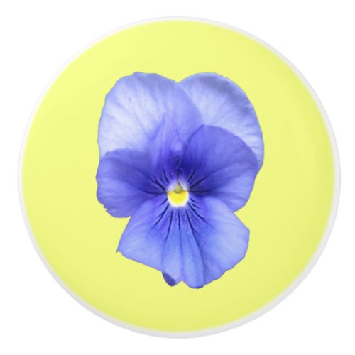 Blue Pansy on Yellow _ Drawer Pull