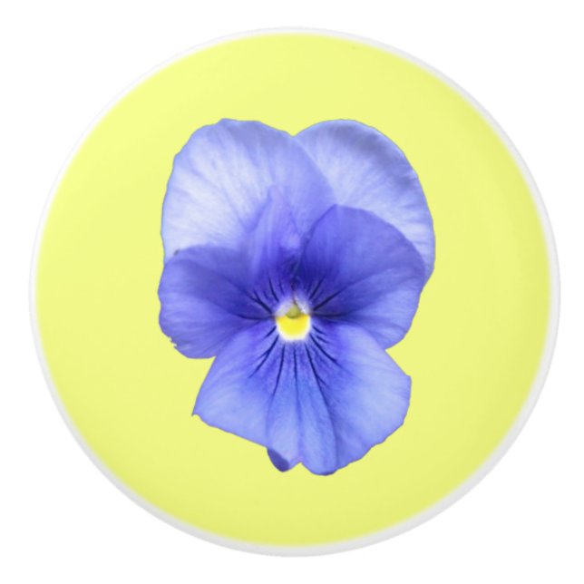Blue Pansy on Yellow - Drawer Pull (Front)