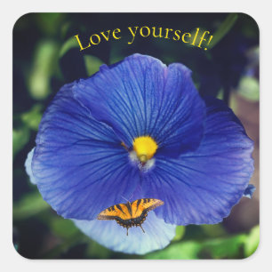 Blue pansy viola square sticker