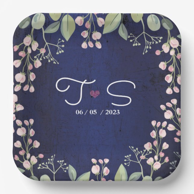 Blue  paper plates (Front)