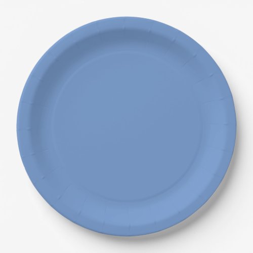 Blue  paper plates