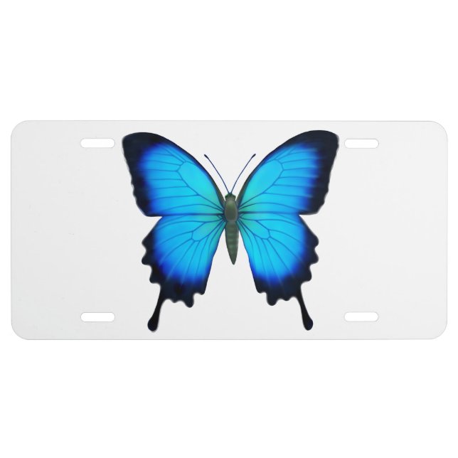 Blue Papilio Ulysses Butterfly License Plate (Front)