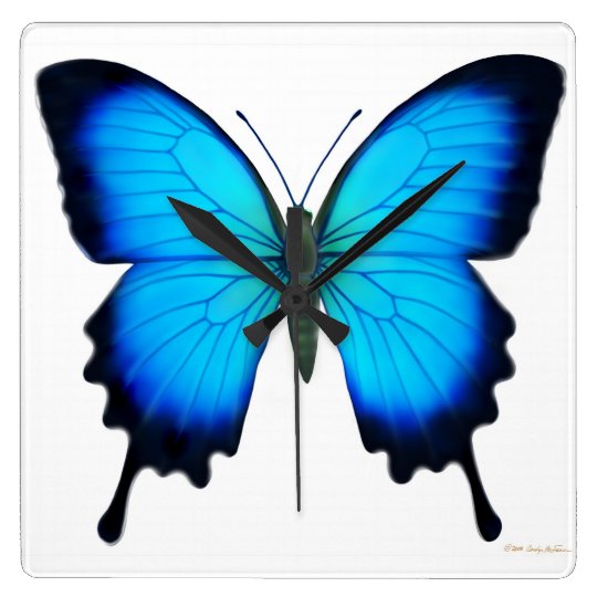 Blue Papilio Ulysses Butterfly Wall Clock Zazzle Com