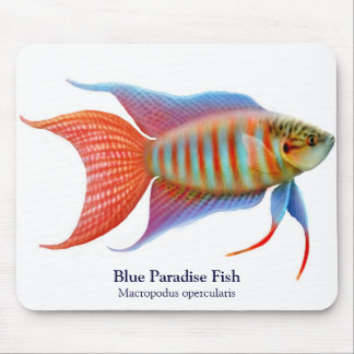 Blue Paradise Fish Mousepad