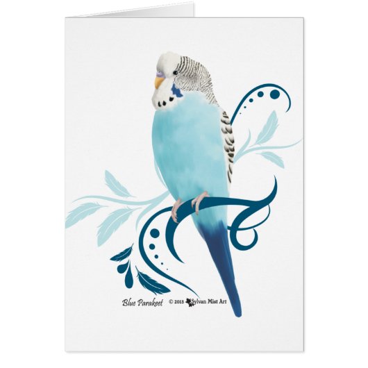 Blue Parakeet Cards (Front)