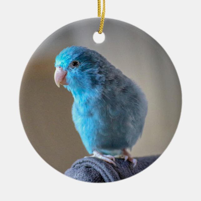 Blue Parakeet Ceramic Ornament (Front)