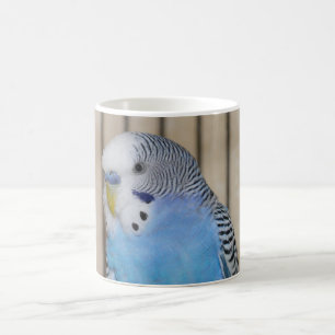 Blue Parakeet Mug
