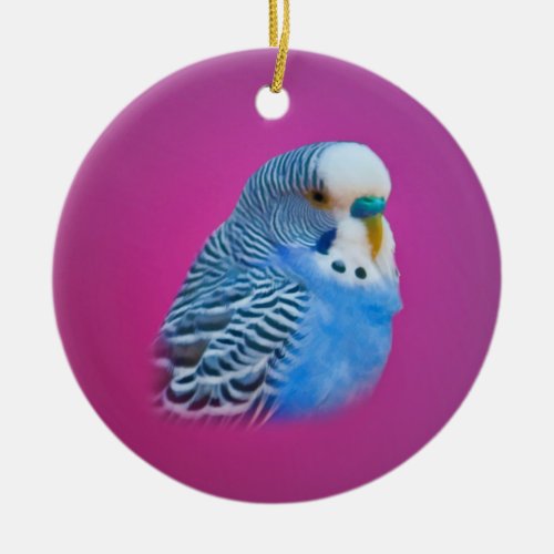 Blue Parakeet Ornament