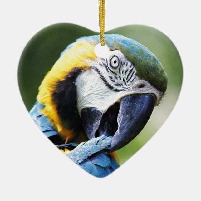 Blue Parrot Ceramic Ornament (Front)