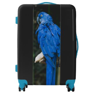 Blue Parrot Luggage