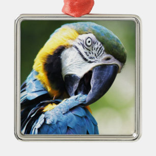 Blue Parrot Metal Ornament