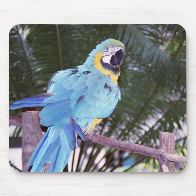 blue parrot mouse pad (Front)