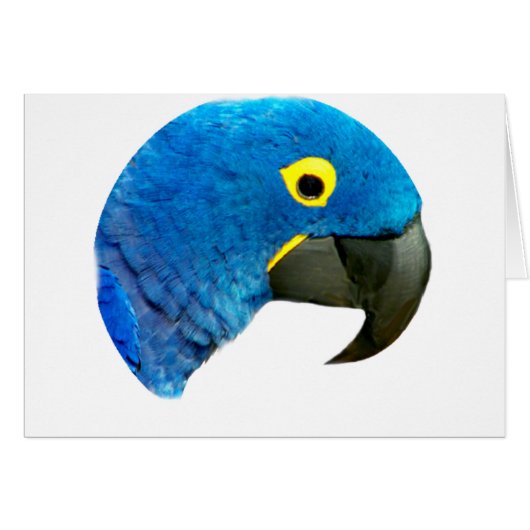 Blue Parrot of Love_ Cards (Front Horizontal)