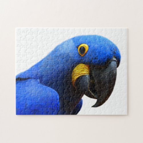 Blue Parrot Photography Jigsaw Puzzle