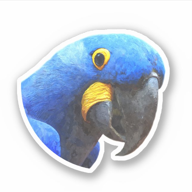 Blue Parrot Portrait Sticker (Front)