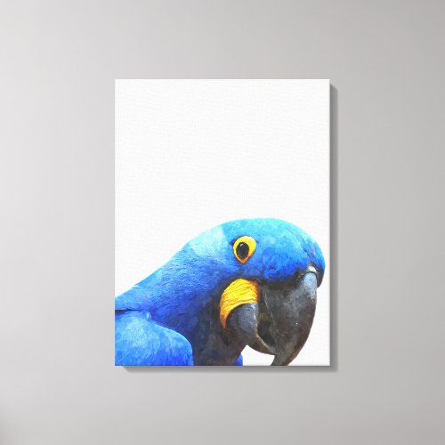 Blue parrot tropical bird portrait canvas print