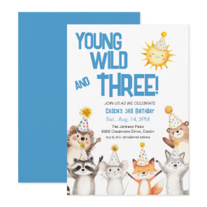 Blue Party Forest Animals Party Hats 3rd Birthday Invitation