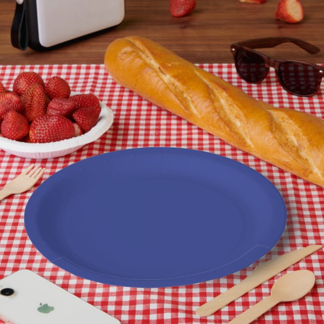 Blue Party Plates Navy Paper Plates Elegant Event (Picnic)