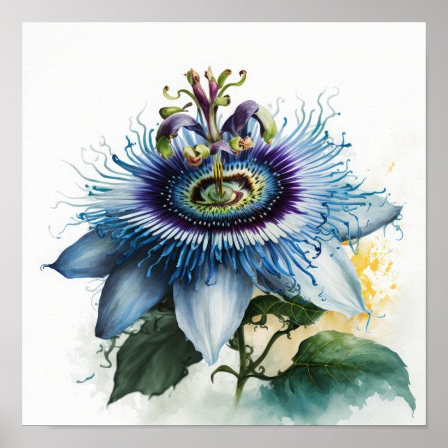 Blue Passion Flower Art Print Poster (Front)