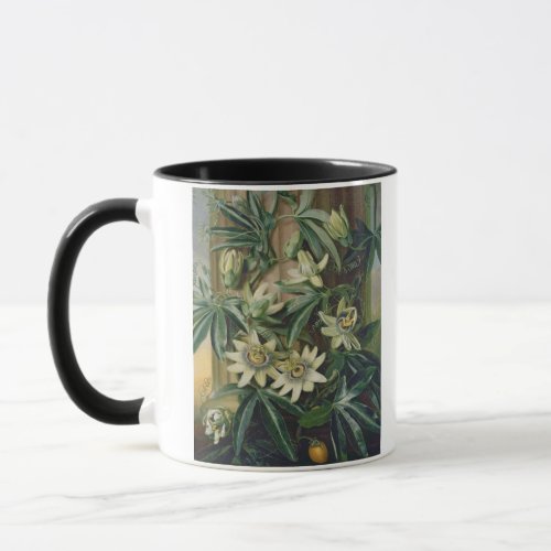 Blue Passion Flower for the Temple of Flora by R Mug