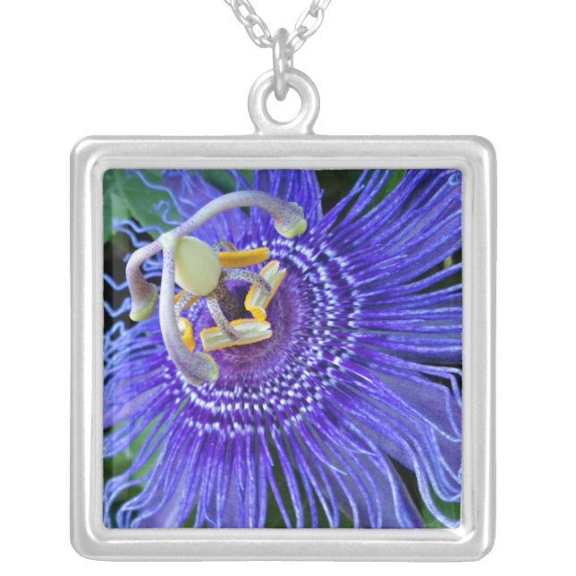 Blue Passion Flower - Necklace (Front)