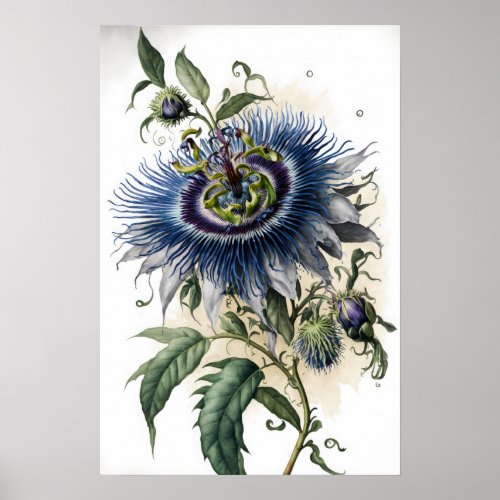 Blue Passion Flowers Art Print Poster