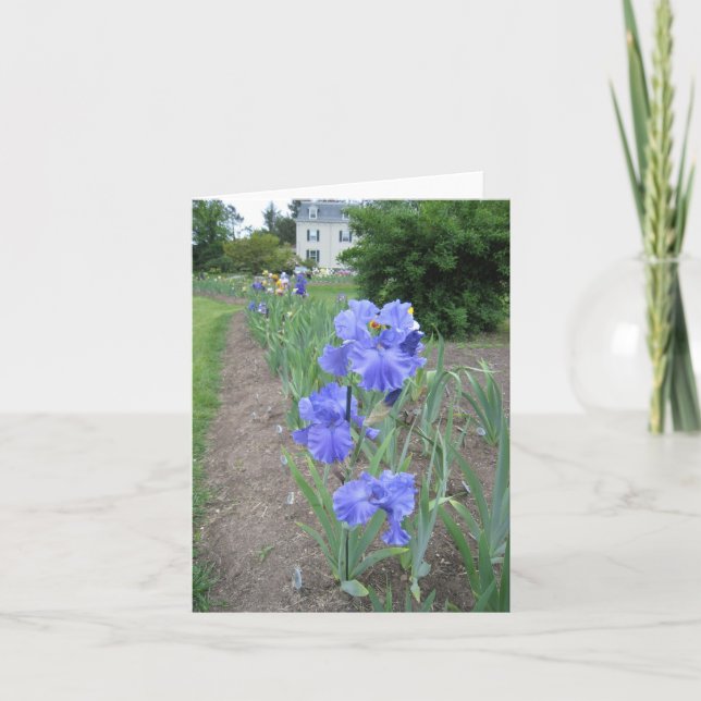 blue path small blank note card (Front)