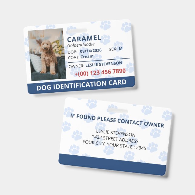 Blue Paw Prints Photo & Name Dog Identification Badge (Front & Back)