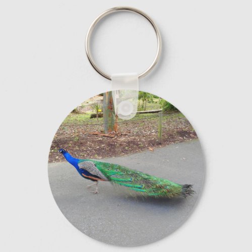 Blue Peacock 2 Keychain